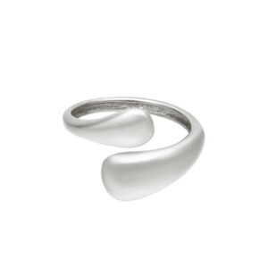 Bicolored-stainless-steel-ring